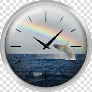 Humpback Whale Rainbow Breach   Wall Clock  HD Png Download