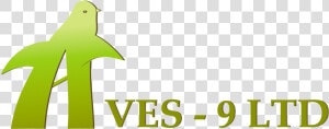 Transparent Aves Png  Png Download