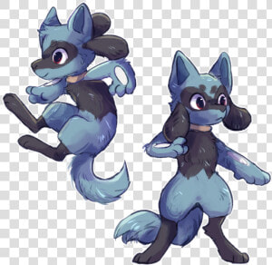 Riolu Art  HD Png Download