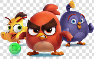 Angry Birds Png Background Image   Angry Birds Dream Blast  Transparent Png