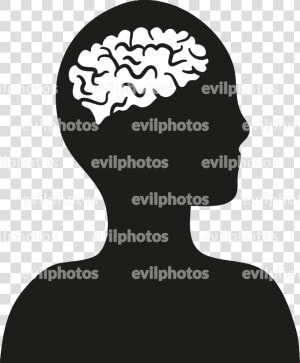 Brain Drawing Vector And Stock Photo   Illustration  HD Png Download