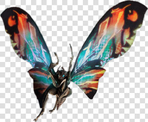  godzilla  mothra   Mothra 2019 Transparent  HD Png Download