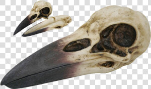 Raven Skull Trinket Box   Raven Skull  HD Png Download