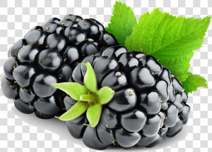 Download Blackberry Fruit Png Hd   Blackberry Fruit Png  Transparent Png