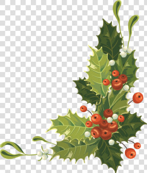 Christmas Card Royalty free   Christmas Cards With Holly  HD Png Download