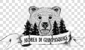 Andrea Di Giampasquale Photography   Kodiak Bear  HD Png Download