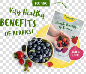 Berries Png   Frutti Di Bosco  Transparent Png