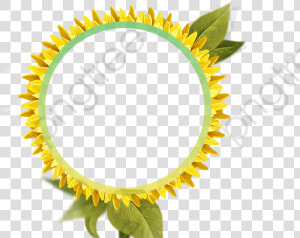 Transparent Sunflower Clipart Png   Border Bunga Matahari  Png Download