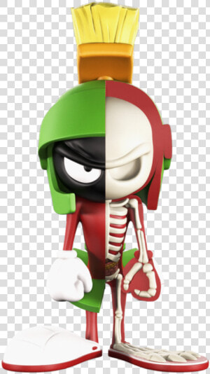 Marvin The Martian   Xxray Looney Tunes  HD Png Download