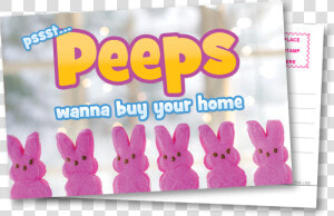 Peeps Wanna Buy Your Home  HD Png Download