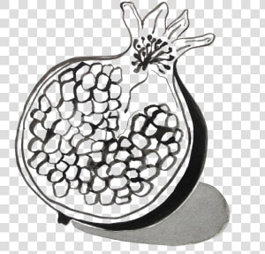 Clip Art How To Draw A Pomegranate   Pomegranate Illustration Black And White  HD Png Download