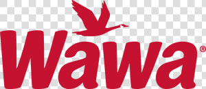 Wawa Logo Png  Transparent Png