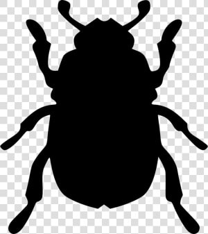 Beatle Beetle   Beetle Icon Png  Transparent Png