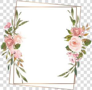  background  textbox  label  frame  flowers   Wallpaper  HD Png Download