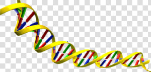 Science Clipart Dna   Dna Double Helix Transparent  HD Png Download