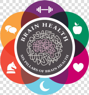 Cleveland Clinic Brain Health  HD Png Download