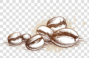 Beans Vector Coffee Seed   Coffee Bean Vector Png  Transparent Png