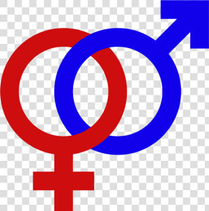 Gender Signs   Male And Female Symbol Png  Transparent Png