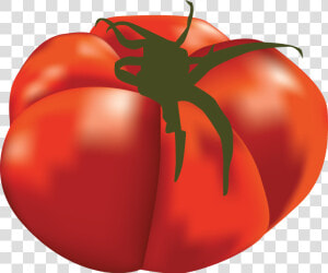 Popular Guide Part Steemit   Plum Tomato  HD Png Download