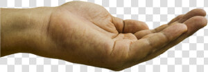 Hand  Palm  Palm Up  Begging  Receiving  Showing   Hand Asking For Money  HD Png Download