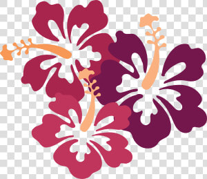 Hibiscus Svg Clip Arts   Hibiscus Clip Art  HD Png Download