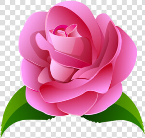 Clip Art Flores Cor De Imagens   Flores Cor De Rosa Png  Transparent Png