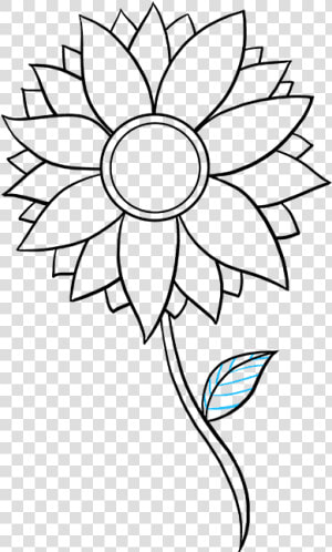 How To Draw Sunflower   Step Easy Simple Sunflower Drawing  HD Png Download