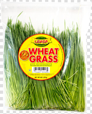 Wheatgrass Without Bg   Leek  HD Png Download