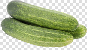 Gourd  And Melon Gherkins summer Squash pepino winter  HD Png Download