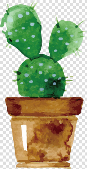 Cactaceae Watercolor Painting Drawing Succulent Plant   Transparent Cactus Watercolor Png  Png Download