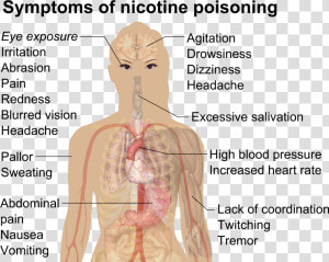 Symptoms Of Nicotine Poisoning   Nicotine Poisoning  HD Png Download