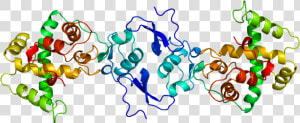 Protein Sparc Pdb 1bmo  HD Png Download