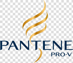 Pantene   Logo De Pantene  HD Png Download