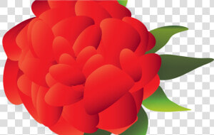 Mexican Flowers Clipart Png   Mexican Paper Flower Clip Art  Transparent Png