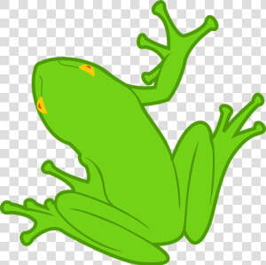 Frog Svg Clip Arts   Rana Dibujo  HD Png Download