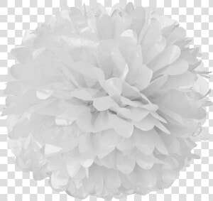 White Tissue Pom Poms   Pom Pom Png  Transparent Png