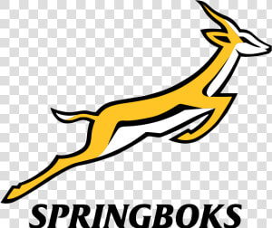 Springbok Rugby Logo  HD Png Download