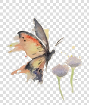 Transparent Watercolor Butterfly Png   Watercolor Butterfly On A Flowers  Png Download