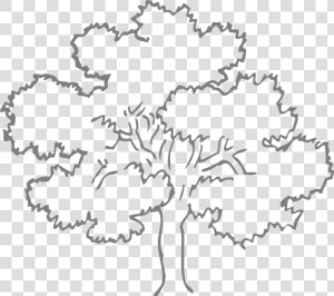 Oak  Tree  Grey  Outline  Nature  Ecology  Environment   Outline Pictures Of Tree  HD Png Download