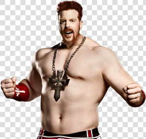 Funny Wrestling Pictures   Sheamus New Look  HD Png Download