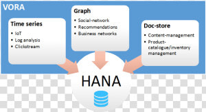 Sap Hana Vora   Sap Hana Walmart  HD Png Download