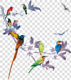 Bird And Flower Png   Imagenes De Flores Con Aves  Transparent Png