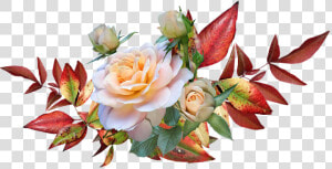 Autumn Leaves  Roses  Flowers  Garden  Nature  Cut   Autumn Leaves And Flower  HD Png Download