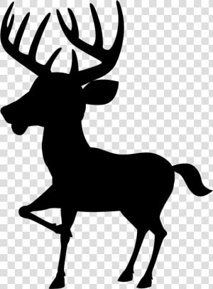 White tailed Deer Vector Graphics Moose Clip Art   Deer  HD Png Download