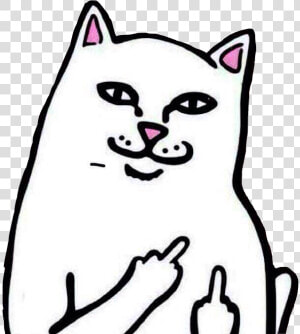  middlefinger  cat  cats  funnycat  meme  memes freetoedit   Cat Middle Finger Svg  HD Png Download