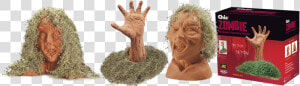 Chia Zombies Press Image   Chia Zombie  HD Png Download