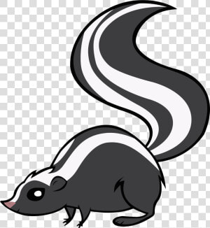 Skunk Png   Skunk Clipart Png  Transparent Png