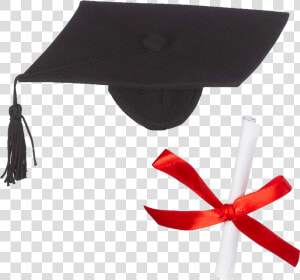 Whatzupwiththat ® Bearwear Graduation Hat  amp  Diploma   Mortarboard  HD Png Download