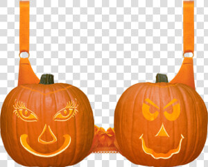 Pumpkins In A Bra  HD Png Download