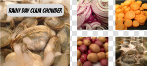 Clam Chowder   Shallot  HD Png Download